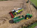 Cutting Wheat