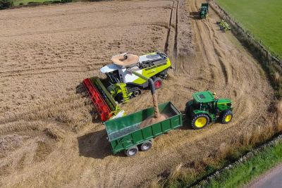 Cutting Wheat