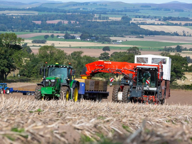 Harvesting in Howe of Strathmore