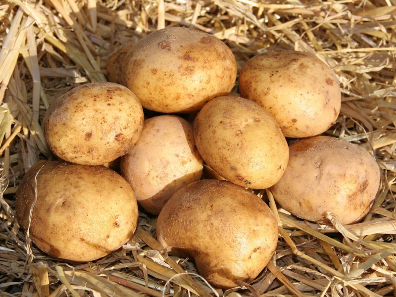 Maris Piper Potatoes