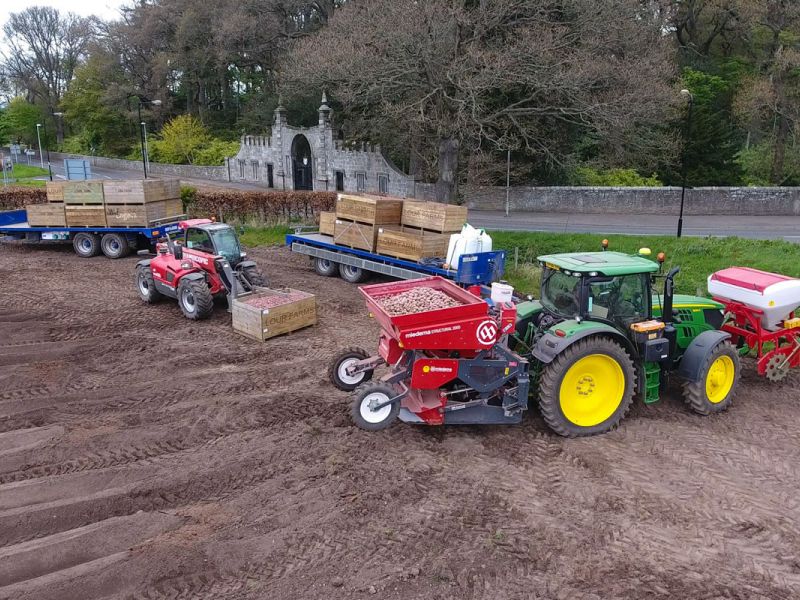 Potato planting at Glamis Castle gates