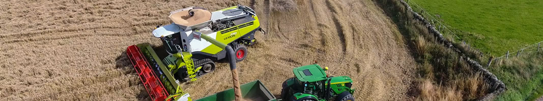 Cutting Wheat