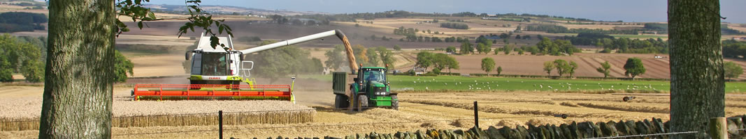 Barley Combining